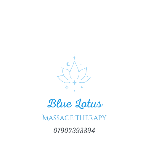Holistic Massage Therapist